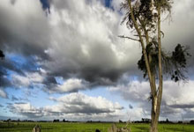 人人体育：[体坛零距离]郑钦文：自己还有很多技术细节可以调整.