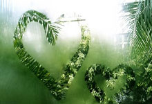 人人体育：[图]成功冲超！大连英博2-1绝杀上海嘉定汇龙.