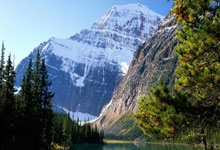 人人体育：[图]格瓦迪奥尔破门 曼城1-1纽卡联赛两连平.